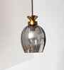 Hanging Light with Smoke Glass Shade