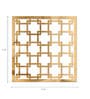 Acrylic Hanging Beverly Room Divider In Brown Colour