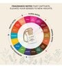 Hanging Pod Classic Sandalwood Home Fragrances 10 Ml