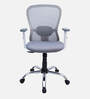 Yuzuki Ergonomic Chair With Adjustable Handle And Lumbar Support In Grey Colour