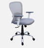 Yuzuki Ergonomic Chair With Adjustable Handle And Lumbar Support In Grey Colour