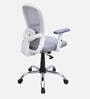 Yuzuki Ergonomic Chair With Adjustable Handle And Lumbar Support In Grey Colour