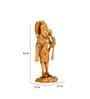 Hanuman Ji Brass Religious Idol