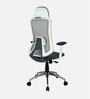 Hanzo High Back Ergonomic Office Chair with 3D Adjustable Armrests Adjustable Headrest and Multi Tilt Lock Feature