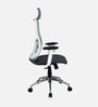 Hanzo High Back Ergonomic Office Chair with 3D Adjustable Armrests Adjustable Headrest and Multi Tilt Lock Feature