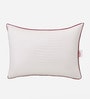 Happy Fibre 27 x 17 Inch Pillows (Set Of 2)