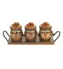 Crafted Multicolor Terracotta and Wood 3 Pcs Condiment Jars With Stand