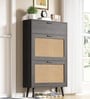 Harbor 16 Pairs Shoe Organizer Cabinet In MDF Finish