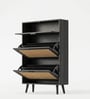Harbor 16 Pairs Shoe Organizer Cabinet In MDF Finish