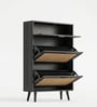 Harbor 16 Pairs Shoe Organizer Cabinet In MDF Finish
