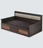 Harborpull-Out Sofa Cum Bed In Brown Color