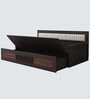 Harborpull-Out Sofa Cum Bed In Brown Color
