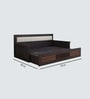 Harborpull-Out Sofa Cum Bed In Brown Color