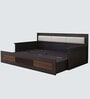 Harborpull-Out Sofa Cum Bed In Brown Color