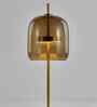 Harley Amber Glass Floor Lamp Gold Metal Body Tri-Color LED Modern Standing Lamp