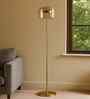 Harley Amber Glass Floor Lamp Gold Metal Body Tri-Color LED Modern Standing Lamp
