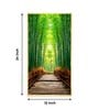 Harmony in Bamboo Trails Glass Finish Vertical Wall Art