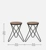 Harper End Table In Virgin Oak & Black Color Finish