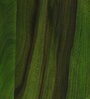 Harrington Sheesham Wood Tall Bar Stool In Spring Green