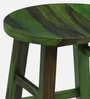 Harrington Sheesham Wood Tall Bar Stool In Spring Green