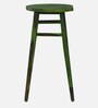 Harrington Sheesham Wood Tall Bar Stool In Spring Green