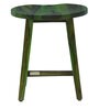 Harrington Sheesham Wood Seating Stool In Spring Green Finish
