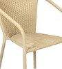 Harrison Wicker Outdoor Seating in Beige Colour