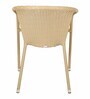 Harrison Wicker Outdoor Seating in Beige Colour