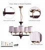 Waitara Gold Glass Shaded Chandelier
