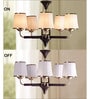 Waitara Gold Glass Shaded Chandelier