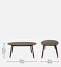 Haruka Solid Wood 6 Seater Dining Set In Walnut & Sandy Brown Finish