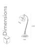 Harvard Single Light Study lamp In Brass Finish