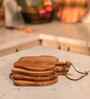 Harvest Serving Board