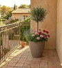 Sand Havana Molded 30Cm Planter