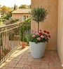 White Havana Molded 50 Cm Planter