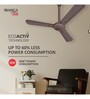 Havells Bianca 1200mm Energy Saving with Remote Control 5 Star Decorative BLDC Ceiling Fan Espresso Brown
