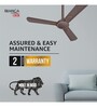 Havells Bianca 1200mm Energy Saving with Remote Control 5 Star Decorative BLDC Ceiling Fan Espresso Brown