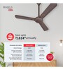Havells Bianca 1200mm Energy Saving with Remote Control 5 Star Decorative BLDC Ceiling Fan Espresso Brown