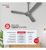 Havells Bianca 1200mm Energy Saving with Remote Control 5 Star Decorative BLDC Ceiling Fan Slate