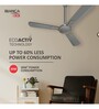 Havells Bianca 1200mm Energy Saving with Remote Control 5 Star Decorative BLDC Ceiling Fan Slate