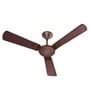 Havells Enticer Art 1200mm Premium Ceiling Fan (Espresso Brown Copper)