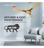 Havells Festiva Prime 1200mm Energy Saving with Remote Control 5 Star Decorative BLDC Ceiling Fan Beige Cola Chrome