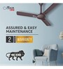 Havells Milor 1200mm Energy Saving with Remote Control 5 Star BLDC Ceiling Fan Dusk