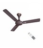Havells Milor 1200mm Energy Saving with Remote Control 5 Star BLDC Ceiling Fan Dusk