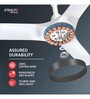 Havells Stealth Neo The most silent BLDC fan with Premium Look and Finish, 1200mm BLDC motor and Remote Controlled Ceiling Fan (Wood Pearl White
