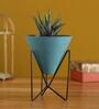 Haworthia Natural Plant In Triangular Ceramic Pot With Stand