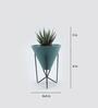 Haworthia Natural Plant In Triangular Ceramic Pot With Stand