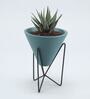 Haworthia Natural Plant In Triangular Ceramic Pot With Stand