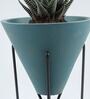 Haworthia Natural Plant In Triangular Ceramic Pot With Stand