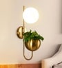 Haze Modern Wall Lamp Led with Artificial Plant | 3Color LED Bulb Included (Warm/Neutral/Cool White) | Decorative Wall Mount Light for Living Room & Bedroom